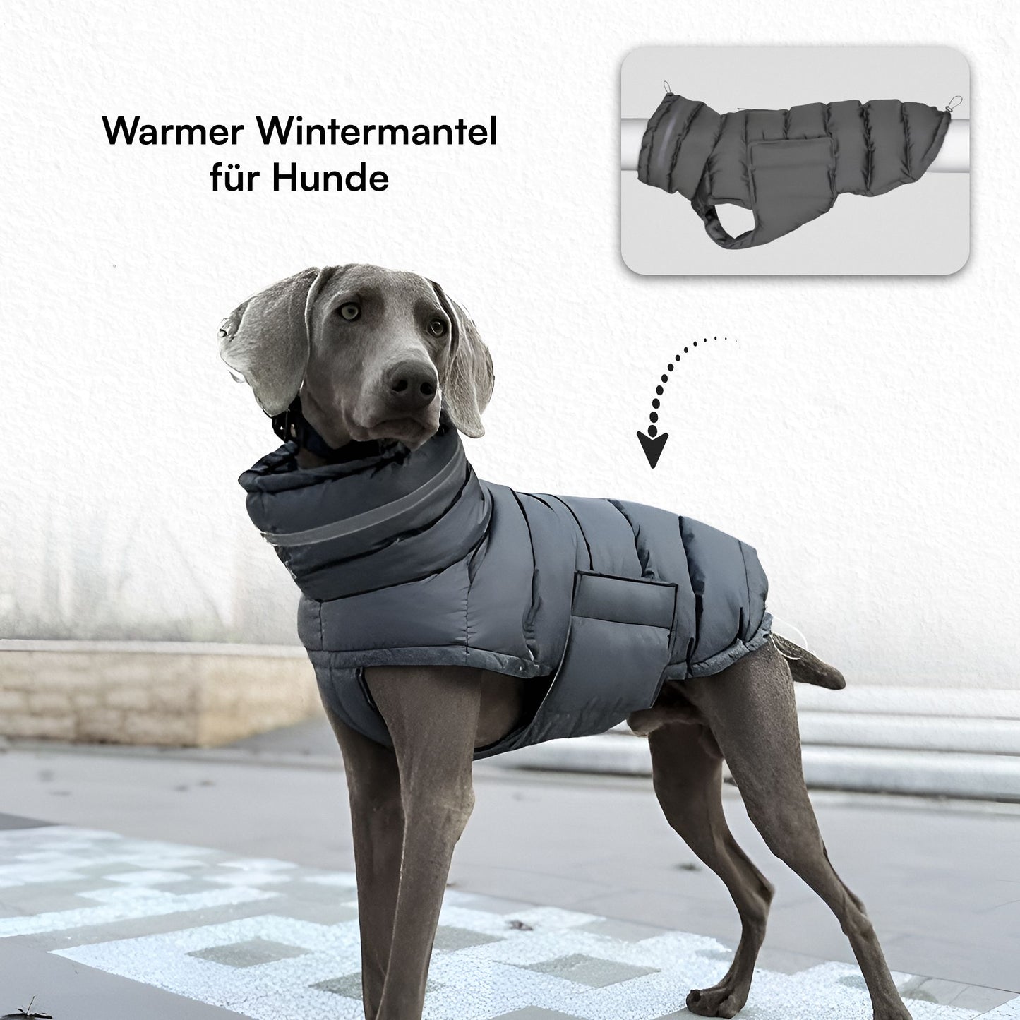 Doggylove24 Windbreaker