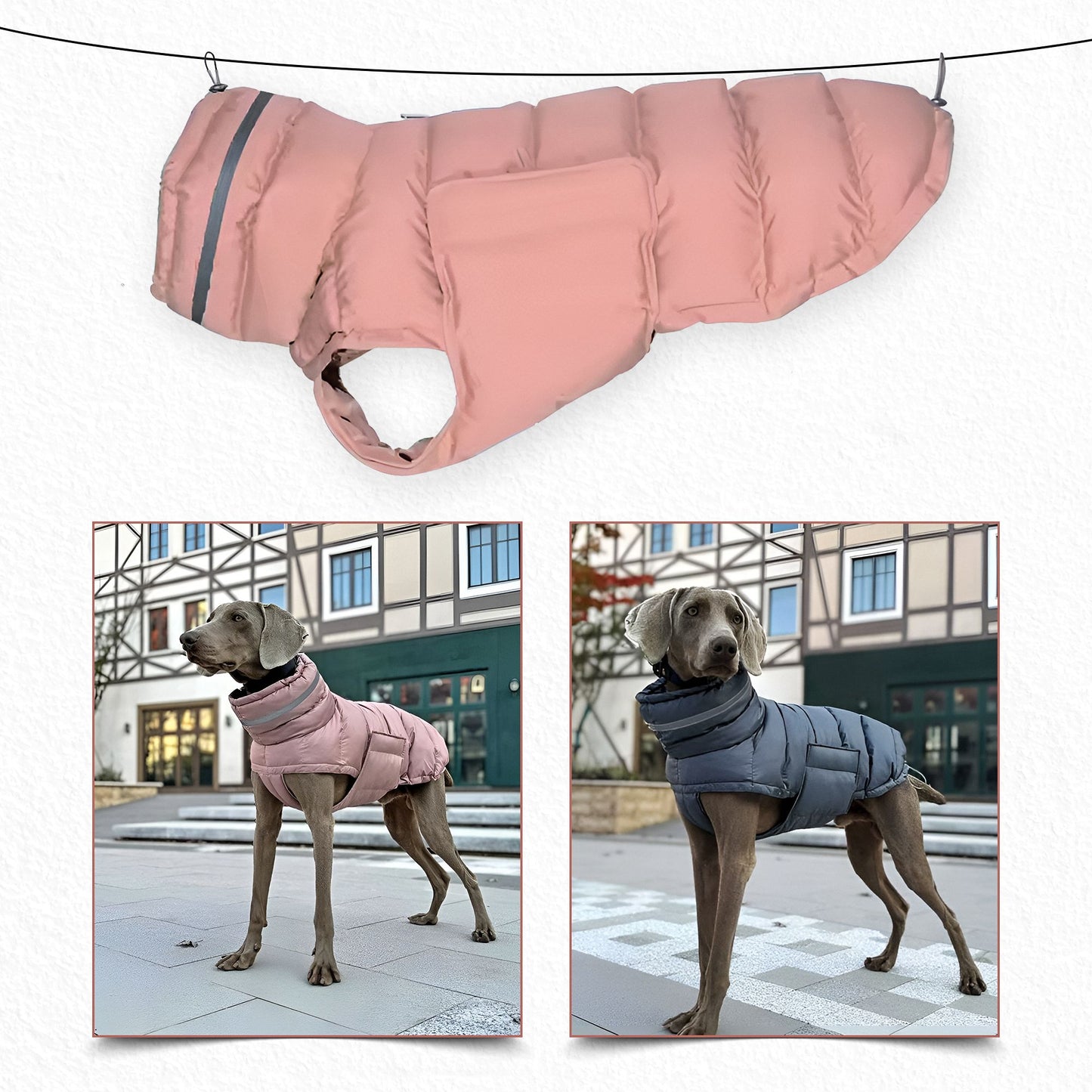 Doggylove24 Windbreaker