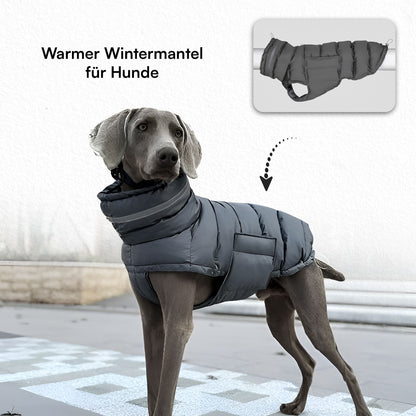 Doggylove24 Windbreaker